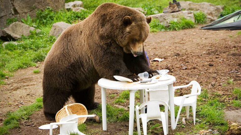 Nasdaq drops 2% amid Iran tensions and rate fears; Micron surges (live)