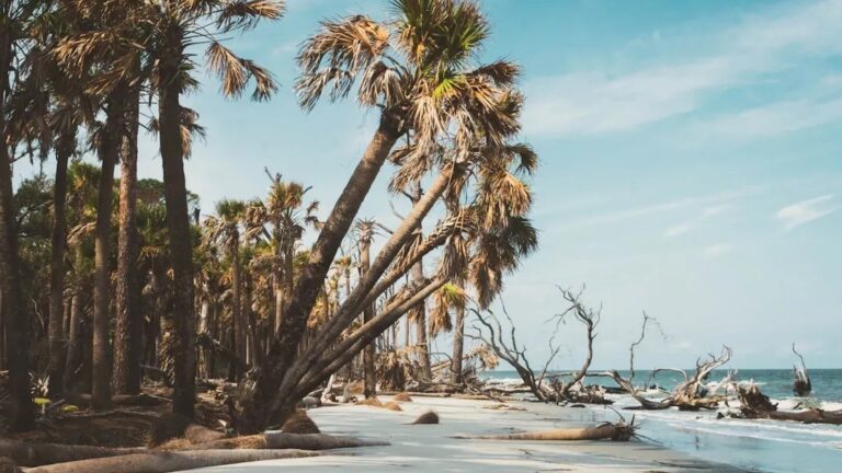 I Planned to Retire in Florida—But These 5 States Are Better. Here’s Why