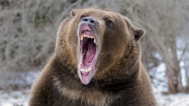 Dow Plummets, Oil Near $100 as Iran Conflict Looms; Tesla in Focus