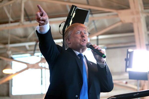 Crypto is in free fall